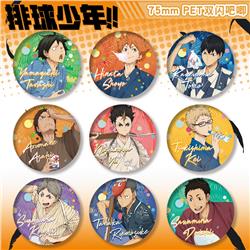 Haikyuu anime pin