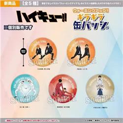 Haikyuu anime pin