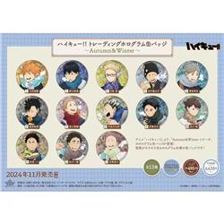 Haikyuu anime pin 13pcs a set