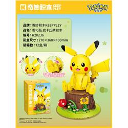 Pokemon anime building block