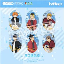 Haikyuu anime pin