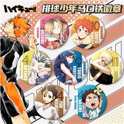 Haikyuu anime pin