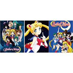 Sailor Moon Crystal anime 3D stereoscopic poster raster gradient painting (core 29.5*39.5m)