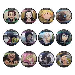 Demon slayer kimets anime pin 12pcs a set
