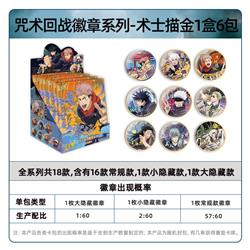Jujutsu Kaisen anime pin 6pcs a set