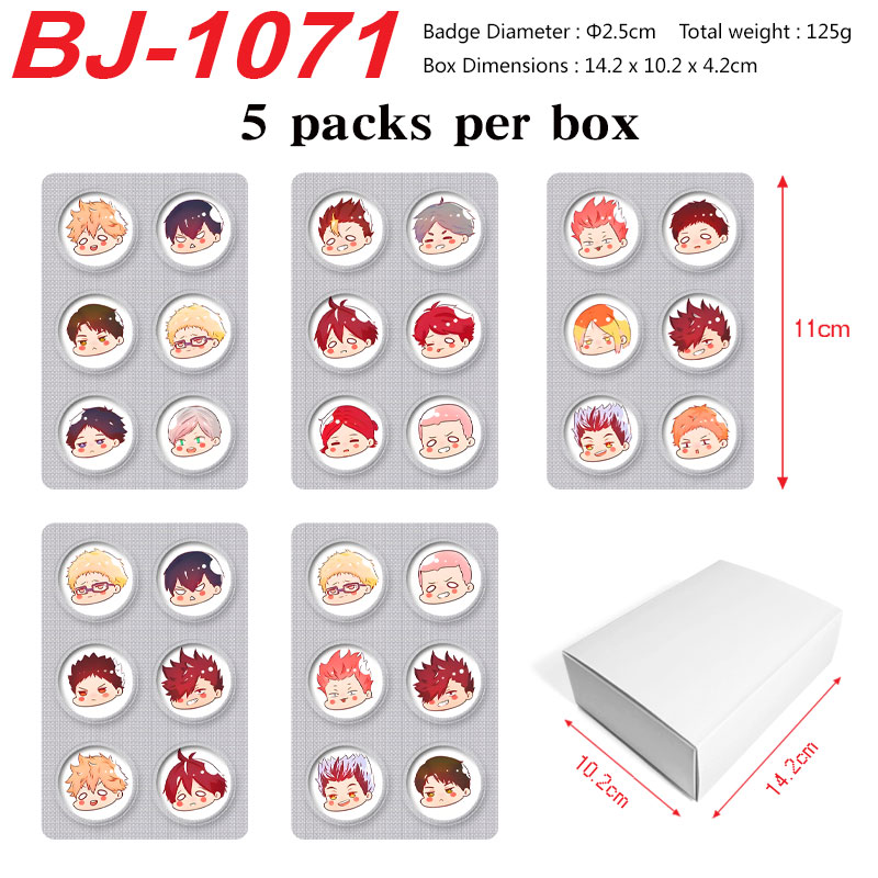 Haikyuu anime pin set