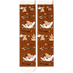 Capybara anime socks 10pcs a set
