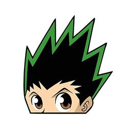HunterX Hunter anime car sticker 13cm